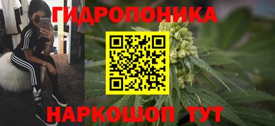 амф Аргун
