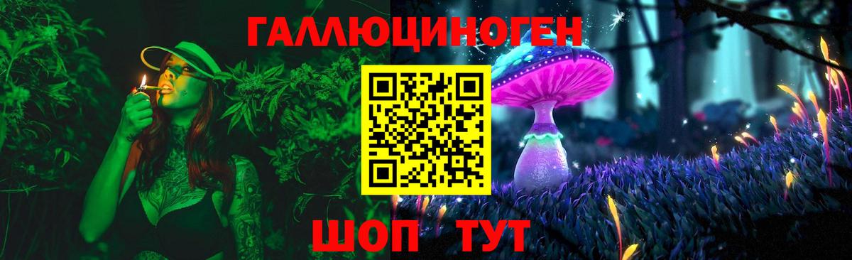 Псилоцибиновые грибы MAGIC MUSHROOMS  Псилоцибиновые грибы GOLDEN TEACHER  Ачхой-Мартан  Вход с VPN 